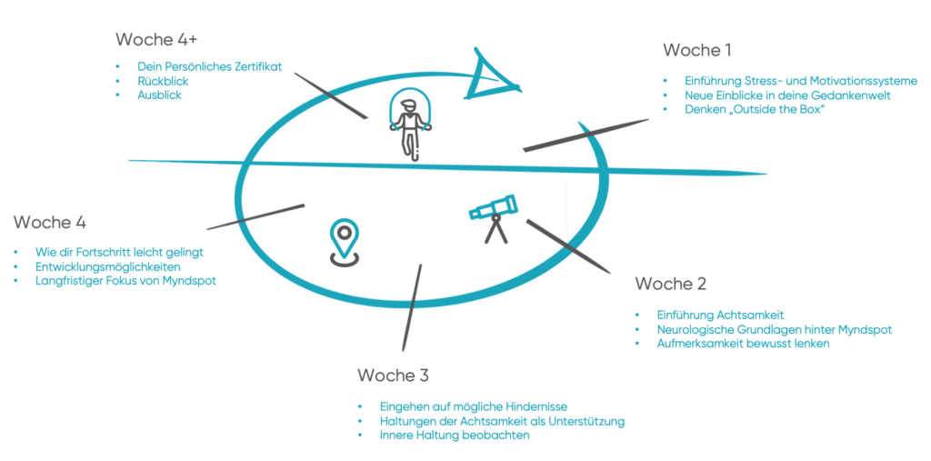 Aufbau Myndspot 4-Wochen Kurs