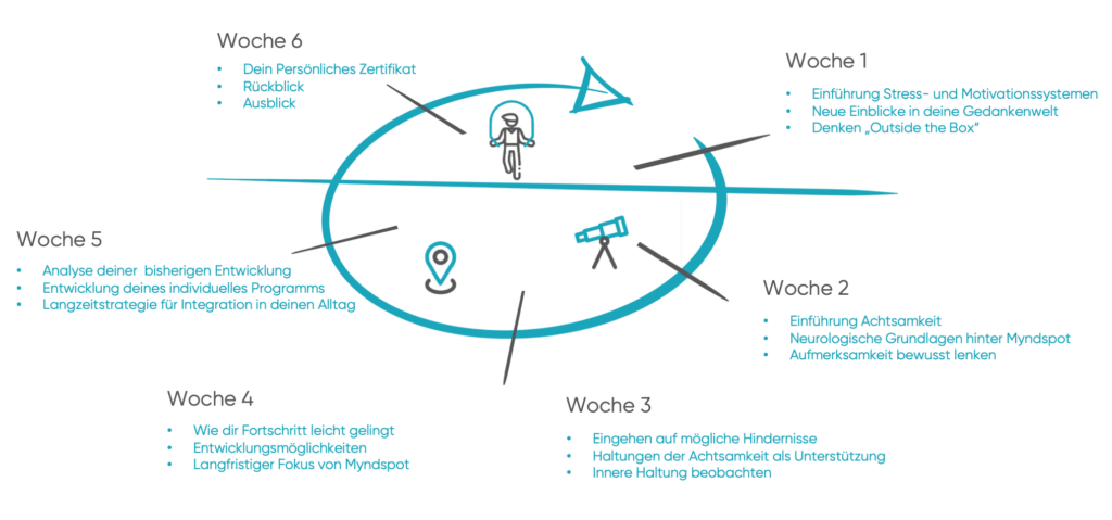 Aufbau Myndspot 6-Wochen Kurs